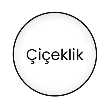 Dekoratif Ciceklik